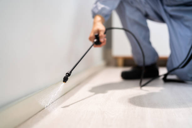 Licensed Termite Control service in Lake Kerr, FL - Show Me Pest Control